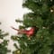 Glittered Bird with Feather Tail Christmas Clip Ornament - 7" - Red